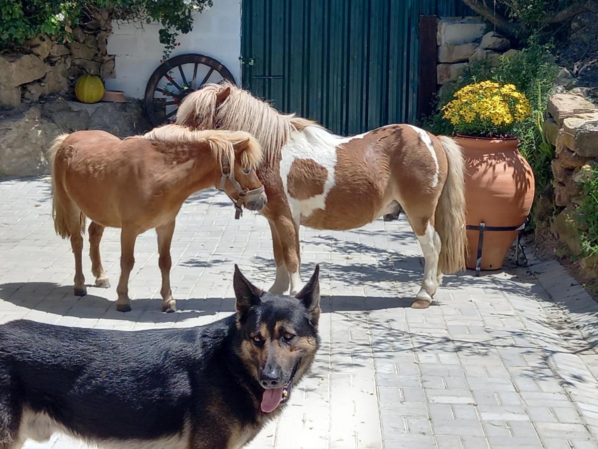 Casinha De Ferias No Campo - Quintinha Dos Cavalos - Arruda Dos Vinhos Sabugos Buitenkant foto